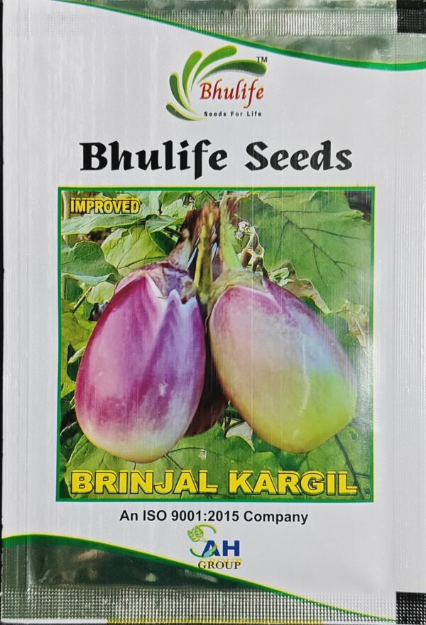 Brinjal Seeds Kargil Improved by Bhulife Seeds 10g