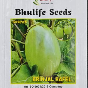 Brinjal Seeds Rafel Improved by Bhulife Seeds 10g