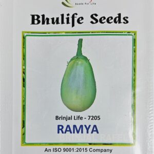 Brinjal Seeds Ramya by Bhulife Seeds 10g