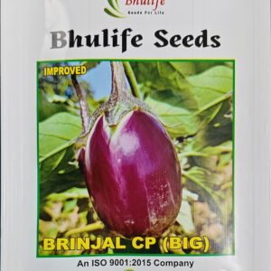 Brinjal Seeds CP Big by Bhulife Seeds 10g