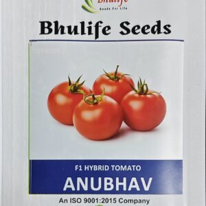 Tomato Seeds Anubhav F1 Hybrid by Bhulife Seeds 10g