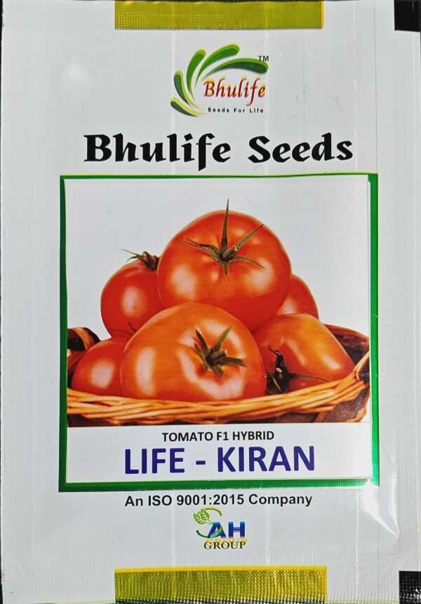 Tomato Seeds Life Kiran F1 Hybrid by Bhulife Seeds 10g