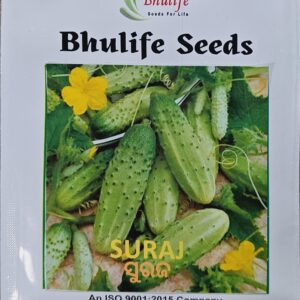 Cucumber Seeds Suraj by Bhulife Seeds 25g