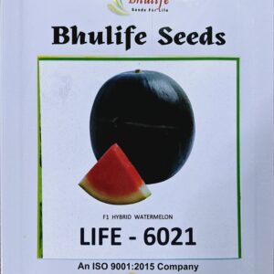 Watermelon Seeds Life 6201 F1 Hybrid by Bhulife Seeds 10g