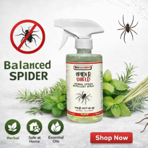Natural Spider Killer Spray 250 ml Eco Friendly Makdee Marne Ki Dawa 250 ML (Pack Of 1)