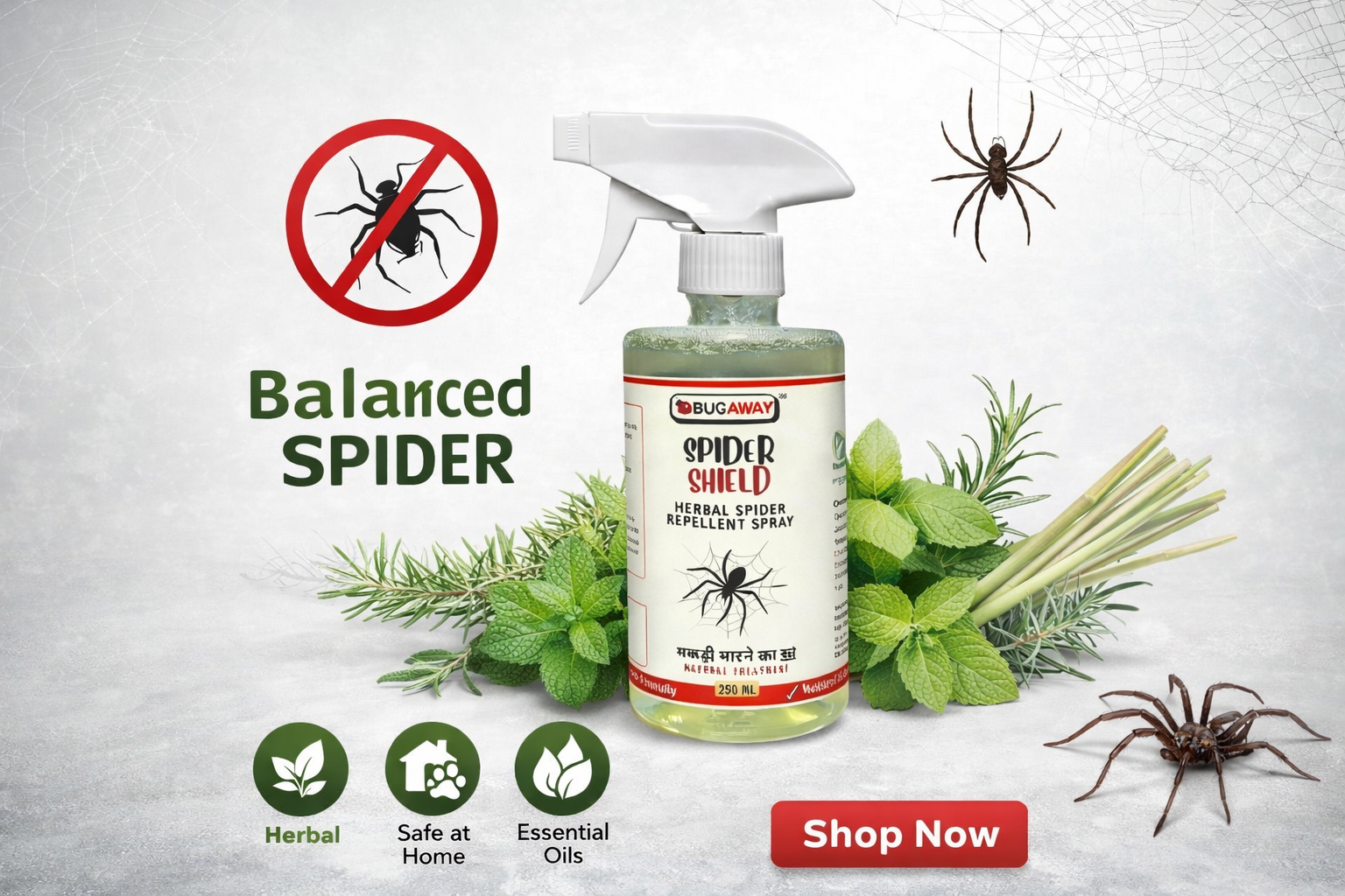 Natural Spider Killer Spray 250 ml Eco Friendly Makdee Marne Ki Dawa 250 ML (Pack Of 1) - Image 2